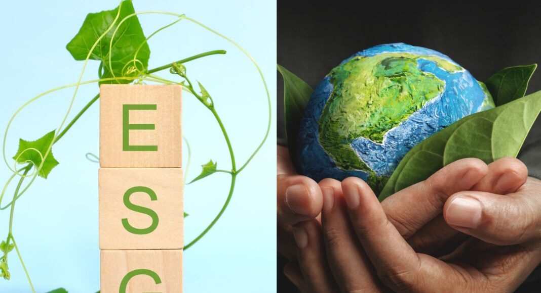 O tema da sustentabilidade ganhou relevância no mundo contábil, especialmente com o aumento das preocupações ambientais e sociais.