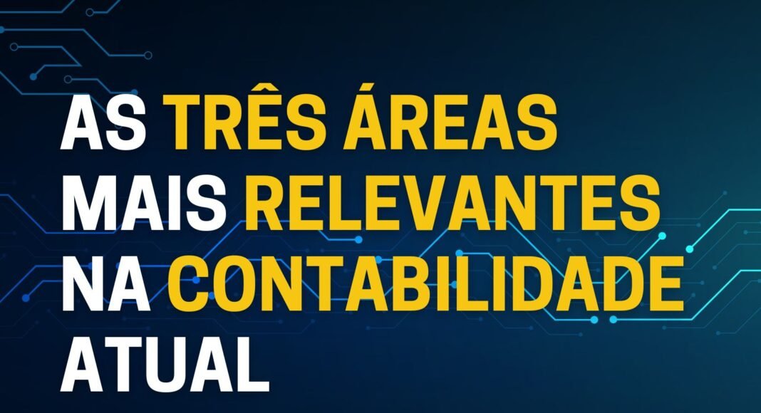 Áreas mais relevantes na contabilidade Áreas mais relevantes na contabilidade