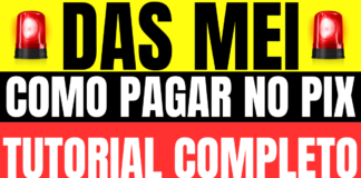 Como pagar o DAS MEI pelo PIX