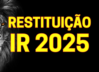 Guia Completo da Restituição do IR 2025: Datas, Consulta e Tudo o Que Você Precisa Saber RESTITUIÇÃO 2025
