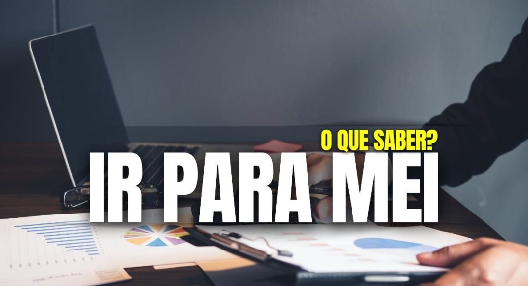 MEI preenchendo a declaração do Imposto de Renda no computador.