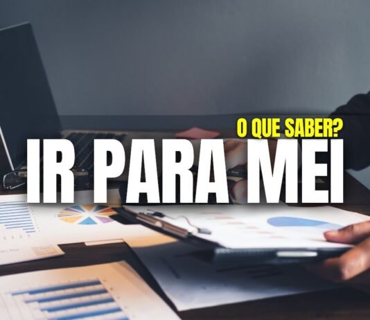 Imposto de Renda para MEI: Como Declarar Corretamente em 2025 (Guia Completo) MEI preenchendo a declaração do Imposto de Renda no computador.